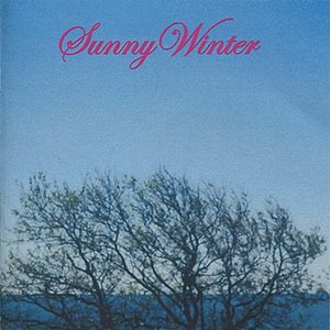 Sunny Winter