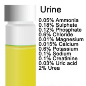 Image for 'Hot Urine'