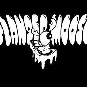 Flanger Moose 的头像