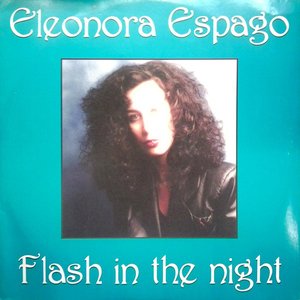 Flash In The Night