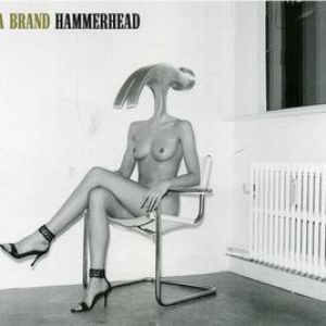 Hammerhead cover