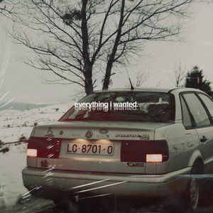 everything i wanted