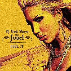 dj dudi sharon feat. jouel 的头像