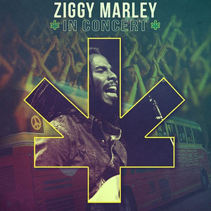 Ziggy Marley - Higher Vibrations Lyrics - Zortam Music