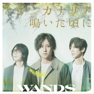 Wands Albums And Discography Last Fm