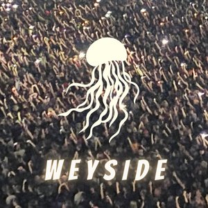 Jellyfish - Single