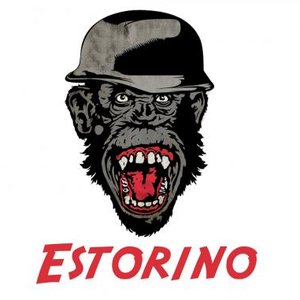 Estorino 的头像