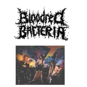 Bloodred Bacteria 的头像