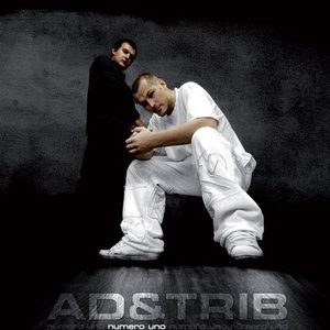 Avatar for A.D. & Trib