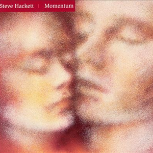 Momentum cover