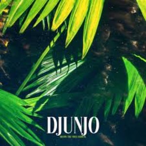 Djunjo 的头像