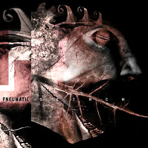 Morphoine cover