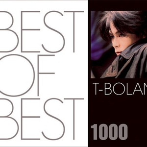 紫③ BEST OF BEST 1000 WANDSとT-BOLAN 2枚セット