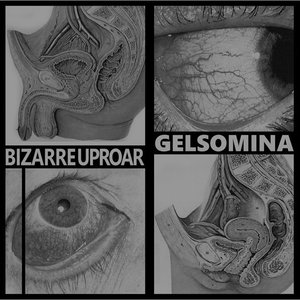 Avatar for Gelsomina & Bizarre Uproar