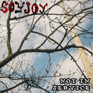 not in service