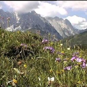 Avatar for Evelin Feichtner