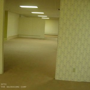 SFTS - The Backrooms Comp
