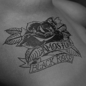 Black Rose