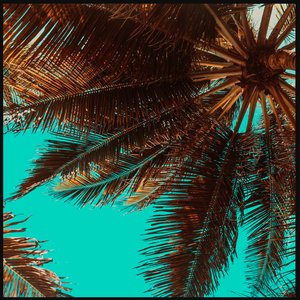 trees.
