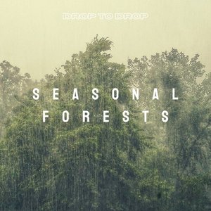 Seasonal Forests