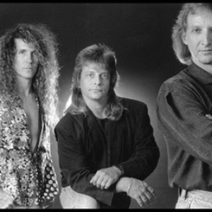 Zebra photo provided by Last.fm