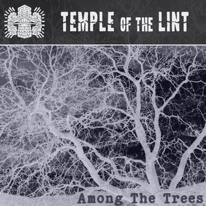 Among The Trees