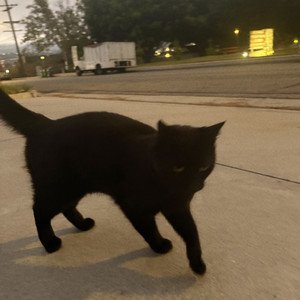 Never Getting Tired Of You