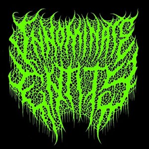 Innominate Entity 的头像