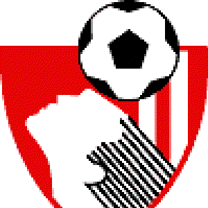 AFC Bournemouth 的头像