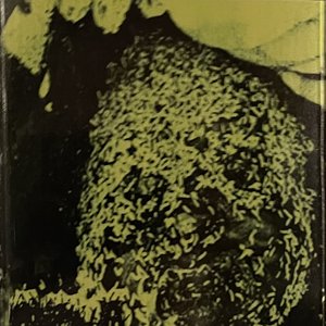Demo 1
