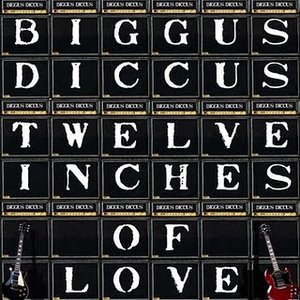 Twelve Inches Of Love