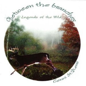 Between The Branches: Legends Of The Wild