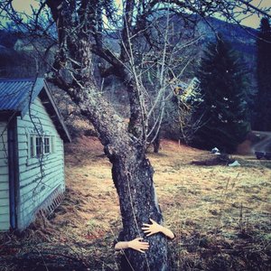 From the Roots to a Folded Sky