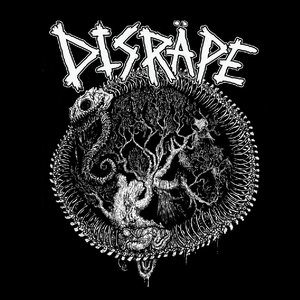 Disräpe