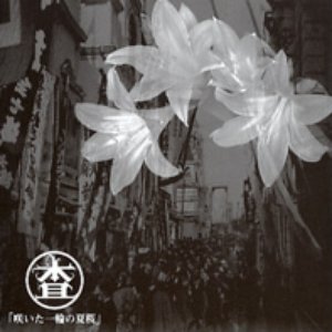 咲いた一輪の夏桜