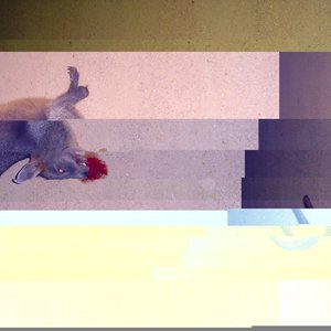 Roadkill caught on tape 的头像