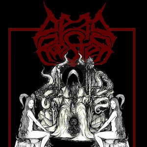 Dead Rooster 的头像