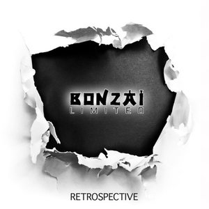 Bonzai Limited - Retrospective