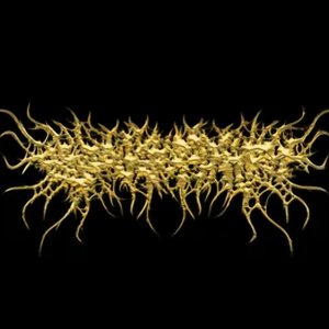 SERIOUS BODILY HARM 的头像