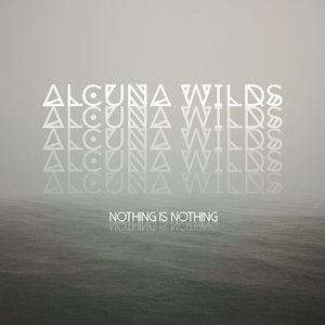Nothing Is Nothing