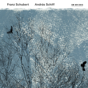 Ungarische Melodie in h-moll D 817 cover
