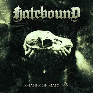 Shades Of Madness