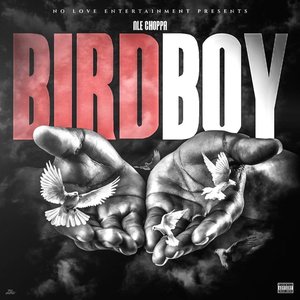 Birdboy - Single