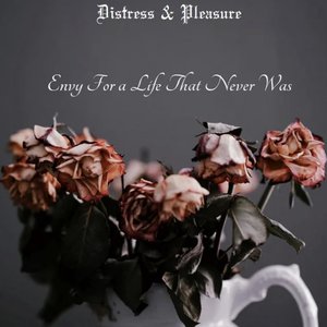 Envy For A Life That Never Was