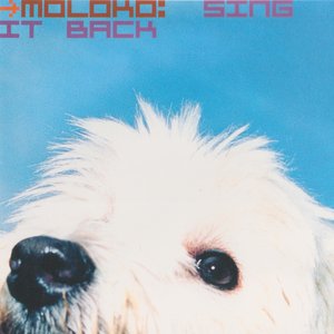 Sing It Back - Single
