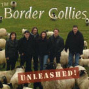 The Border Collies 的头像