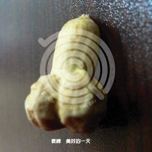 教練 的头像