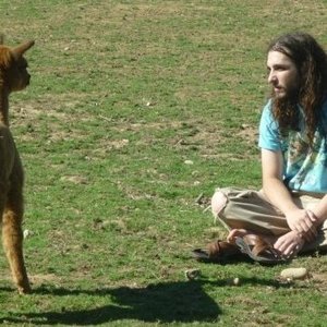 The Strangest Vocabulary 的头像