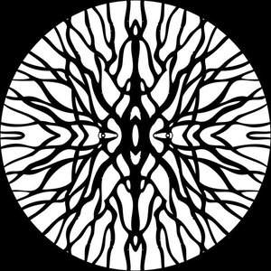 Procyon