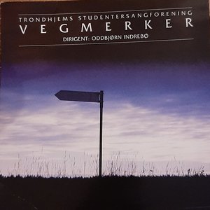 Vegmerker